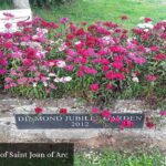 Catholic Church of Saint Joan of Arc