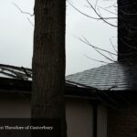 Catholic Church of Saint Theodore of Canterbury