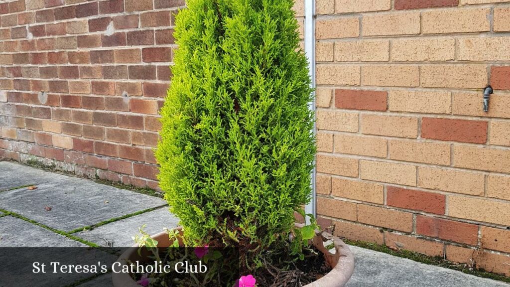 St Teresa's Catholic Club - West Lancashire (England)