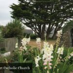 The Sacred Heart Catholic Church